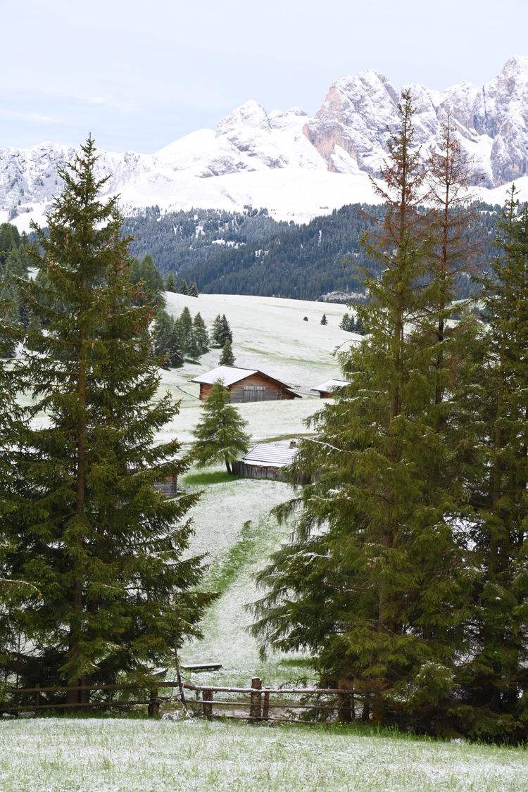 乐竟体育中文-斯洛文尼亚险胜奥地利，晋级前景渐入佳境的简单介绍